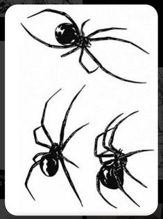 three black widows on white background