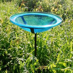 a blue bird bath sitting on top of a lush green field next to tall grass