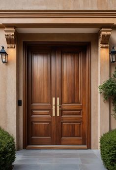 two wooden doors are shown in front of a stucco wall and stone walkway with potted plants on either side