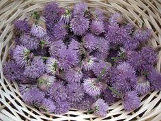 purple flowers are in a wicker basket