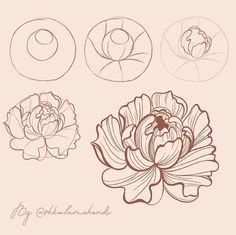 four different types of flowers are shown in this drawing style, including one flower and the other