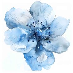 a blue and white flower with watercolors on it's petals is shown