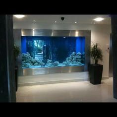 an aquarium in the middle of a room