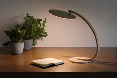 a desk lamp sitting on top of a wooden table next to a book and potted plant