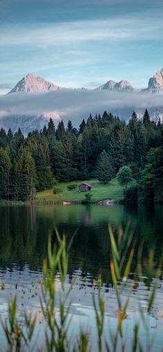 a lake surrounded by trees with mountains in the background