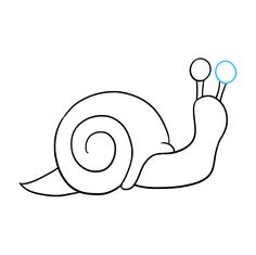 snail draw drawing easy step