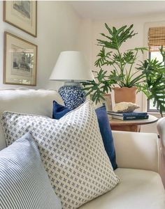 a living room filled with furniture and a potted plant on top of a table