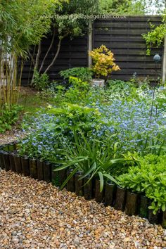 a garden filled with lots of different types of plants