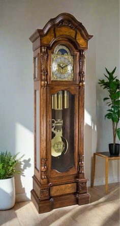 an old grandfather clock in the corner of a room with a potted plant on the floor