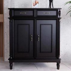 a black cabinet sitting next to a potted plant on top of a wooden table