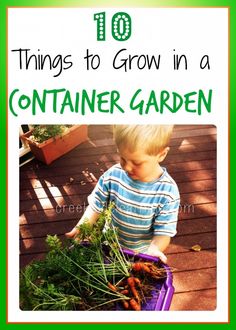 a young boy holding a basket full of vegetables with the words 10 things to grow in a container garden