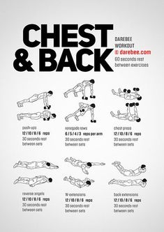 the chest and back workout poster