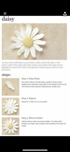 the instructions for how to make daisy flowers