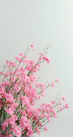 pink flowers are in a vase on a table