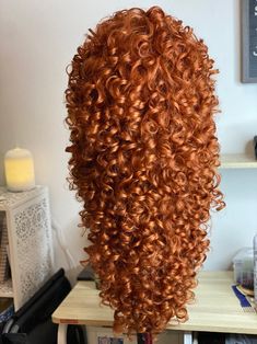 Merida Wig, Merida Hair, Wig Room, Hair Styles To Try, Gyaru Hair, Brave Princess, Hair Doctor, Head Style, Fantasy Hair