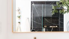 a bathroom sink with a mirror above it and a plant in the corner next to it