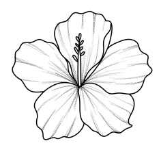 a flower that is drawn in black and white