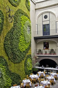 an outdoor dining area with tables and chairs covered in green plants, next to a tall wall