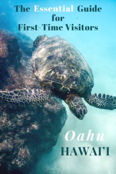 the essential guide for first time visitors by oahu hawaii, hawaii