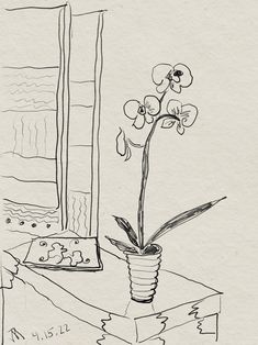 a black and white drawing of a flower in a vase on a window sill