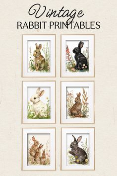 the vintage rabbit printables are available for purchase