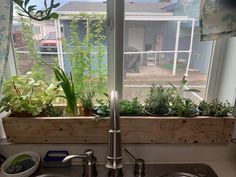 a kitchen sink sitting under a window filled with plants