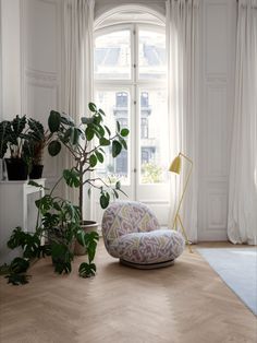 a living room filled with furniture and a potted plant in front of a window