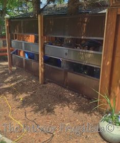 an outdoor storage shed with plants growing out of it