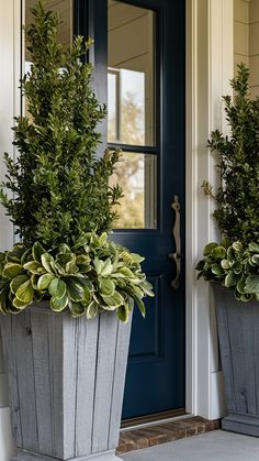 two potted plants on the front steps of a house with blue door and windows