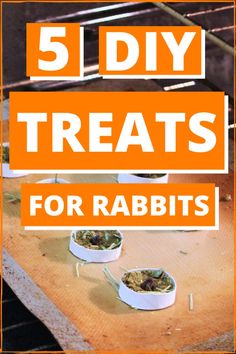 five diy treats for rabbits on a table with text overlay that reads 5 diy treats for rabbits