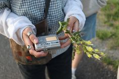 a person holding a camera and some flowers