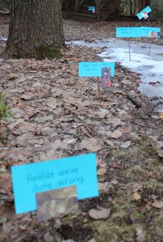 several signs on the ground in front of trees