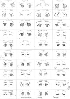 the different types of eyes and how they are used to make them look like they're