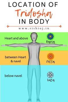 location-of-tridosha-in-body Tridosha Ayurveda, Ayurveda Tridosha, Hindu Teachings, Yoga Chart, Hindu Vedas, Body Facts