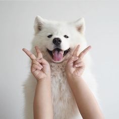 a woman holding up her dog's head to show the peace sign