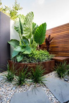 an outdoor garden with lots of plants and rocks on the ground next to a wooden fence