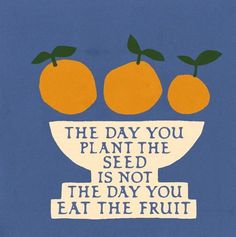 two oranges sitting on top of a bowl that says, the day you plant the seed is not the day you eat the fruit