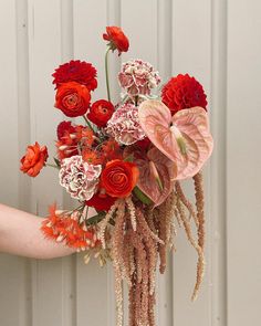 a person holding a bouquet of red and white flowers in their hand, against a white wall