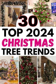 Lit Birch Tree Christmas Decor, Christmas Tree Inspiration Colorful, Tall Christmas Tree Ideas, 2024 Trending Christmas Tree Decor, Popular Christmas Themes 2024, Inexpensive Christmas Tree Decorations, 2024 Christmas Decorations, Christmas Tree Toppers 2024