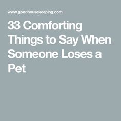 the words 33 comforting things to say when someone loses a pet