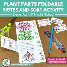 the plant parts foldable notes and sort activity for elementary and middle school students with flowers