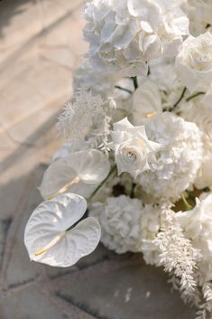 white flowers and leaves are arranged on the ground