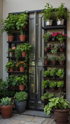 many potted plants are growing in the corner of a room with a glass door