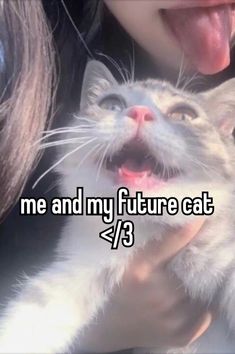 a woman holding a cat with the caption me and my future cat 7 / 3