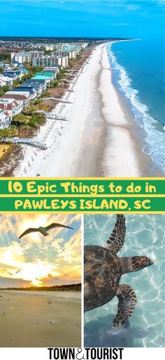 the top ten things to do in pawley's island, sc