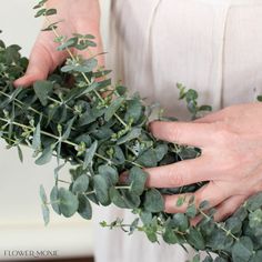 two hands are holding some green leaves on top of each other, while another hand is reaching for the greenery