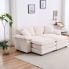 a white couch sitting on top of a hard wood floor next to a potted plant