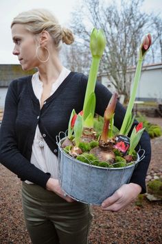 a woman holding a potted plant with flowers in it's hands and wearing earrings