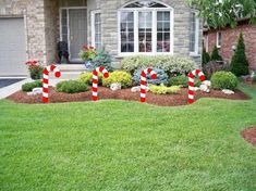 some candy canes in front of a house with christmas decorations on the lawn and bushes