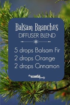 Christmas Diffuser Recipes, Candle Recipe